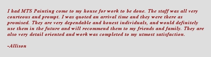 Apache Junction painting testimonial- Allison